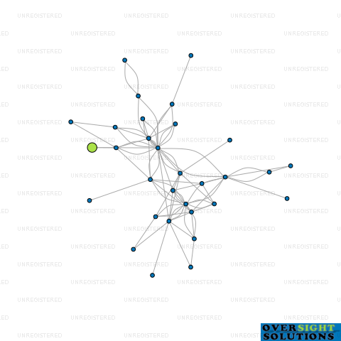 Network diagram for MONHAIL DEVELOPMENTS LTD