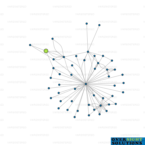 Network diagram for HIKURANGI CAPITAL LTD