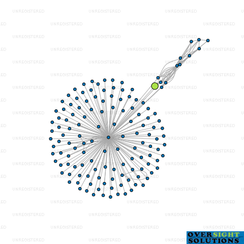 Network diagram for 100 SANDY LTD