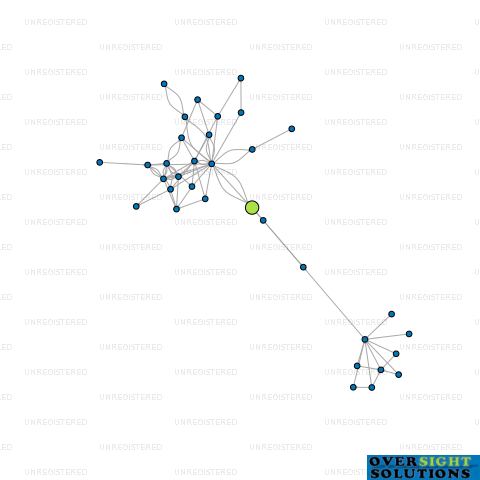 Network diagram for TREMONT HOLDINGS LTD