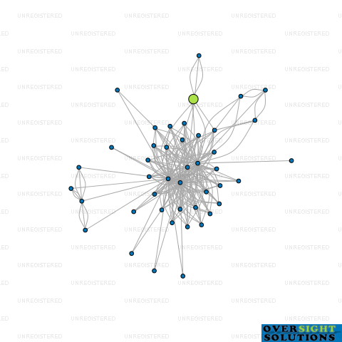 Network diagram for SHAND THOMSON LTD