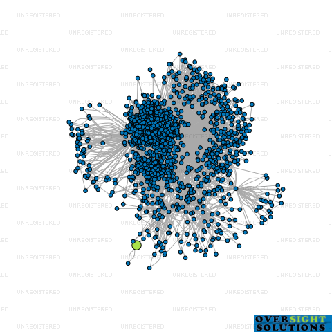 Network diagram for WESTERN VIEW ESTATE LTD