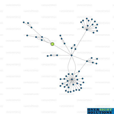 Network diagram for 216 LTD