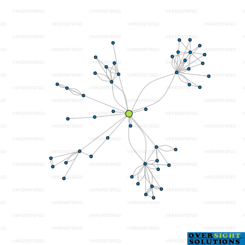 Network diagram for TRISTRAM VIALOU LTD