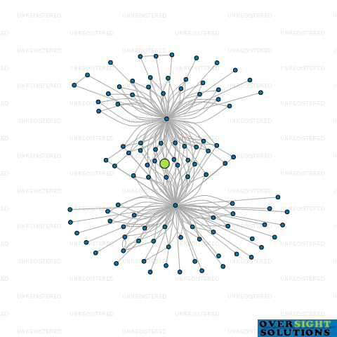 Network diagram for 298 REMUERA ROAD LTD