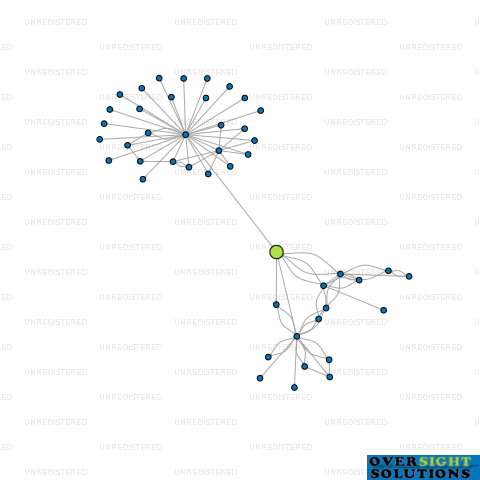 Network diagram for CONSTELLATION ENTERPRISES LTD