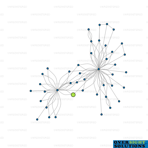 Network diagram for SGUJ LTD
