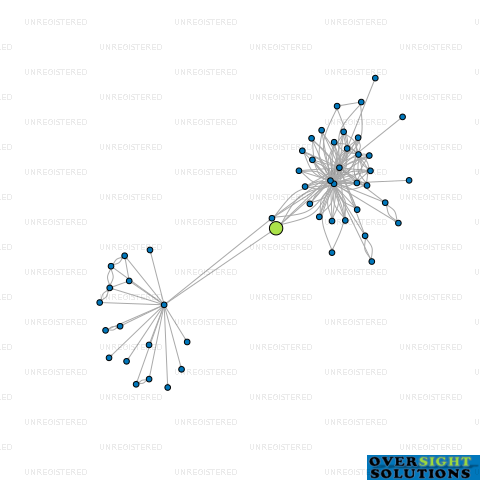 Network diagram for WINGER MOTORS LTD