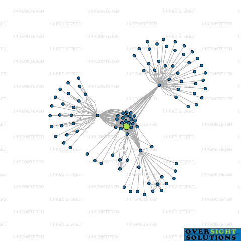 Network diagram for 2 SHOW PLACE LTD