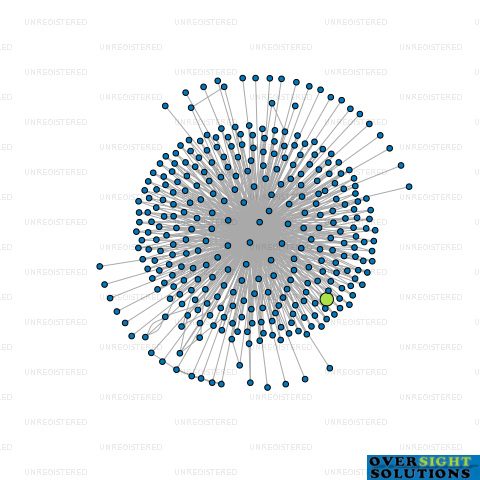Network diagram for TRUSTEE 2102131373 LTD
