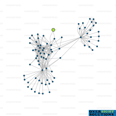 Network diagram for AP VISION LTD