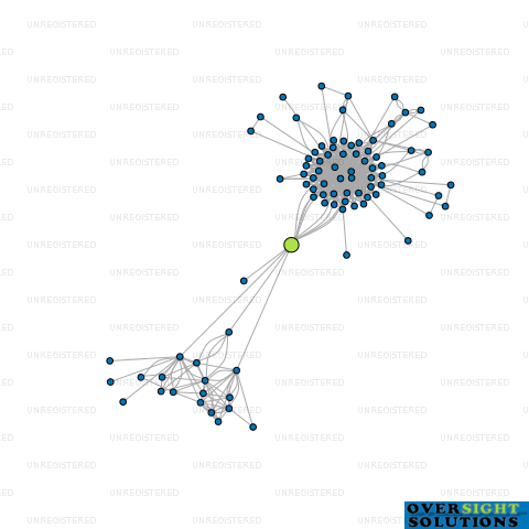 Network diagram for SHALIN FAMILY TRUST LTD