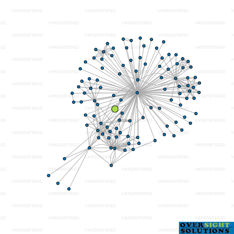 Network diagram for BHIVE GOLD LTD