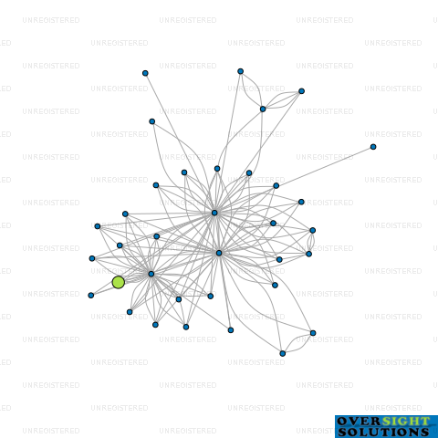 Network diagram for 333 PERFORMANCE MANAGEMENT NEW ZEALAND LTD