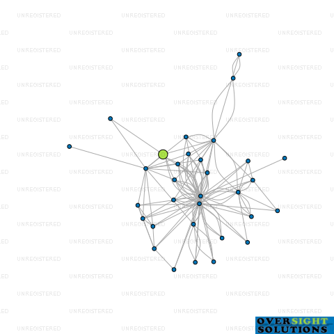 Network diagram for 29 UNION STREET LTD