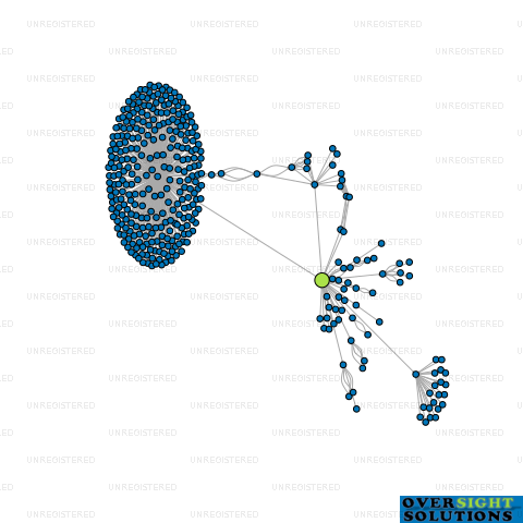 Network diagram for VITRUVIUS LTD
