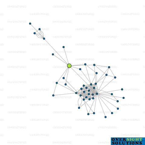 Network diagram for YOUNG ST TRUSTEE 2025 LTD