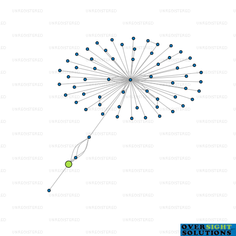 Network diagram for WYATT CONSTRUCTION LTD