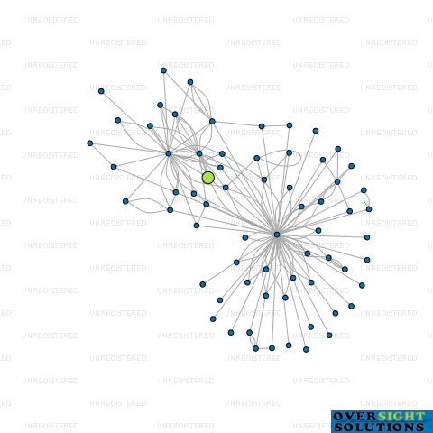 Network diagram for COLLINS ASSET MANAGEMENT INVESTMENTS LTD