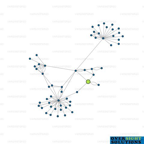 Network diagram for PRECISION MONITORING LTD