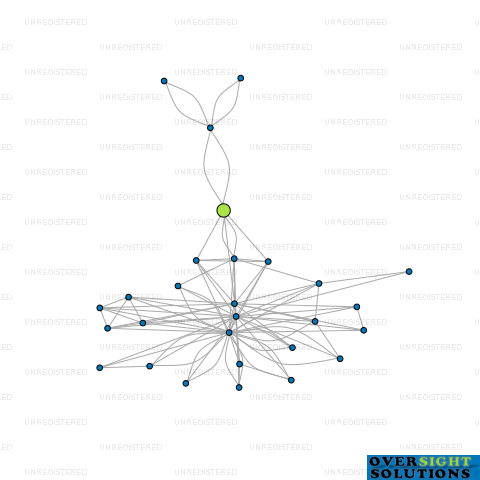 Network diagram for CONNELL TERRACE LTD