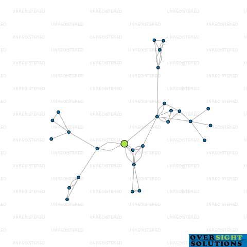 Network diagram for SHAN ENTERPRISES LTD