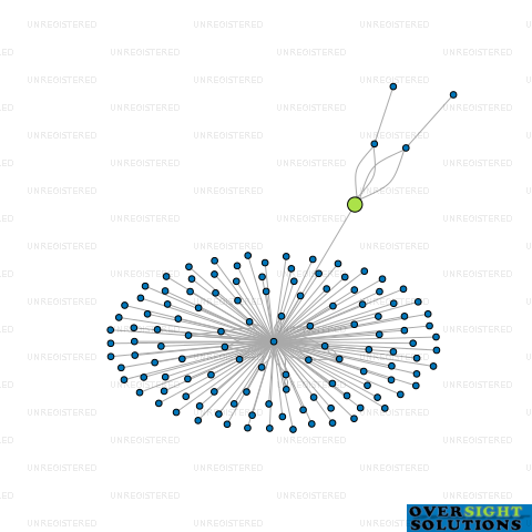 Network diagram for REVFEIM HUNTER FAMILY TRUST LTD