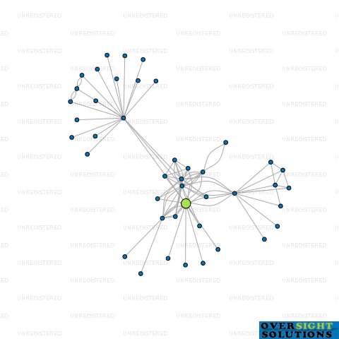 Network diagram for GRAND PARK INVESTMENTS LTD