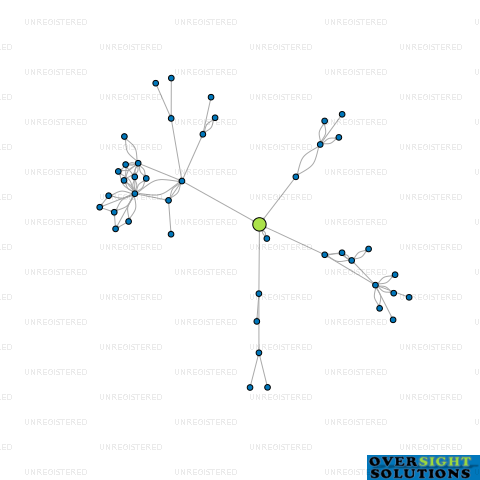 Network diagram for YANG LAWYERS TRUSTEE LTD