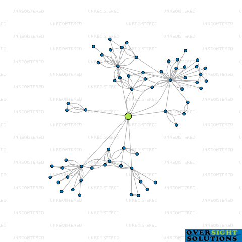 Network diagram for TRUSTEE SERVICES 2007 LTD