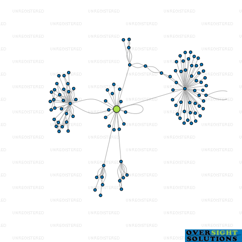 Network diagram for LEANING ROCK CHERRIES LTD