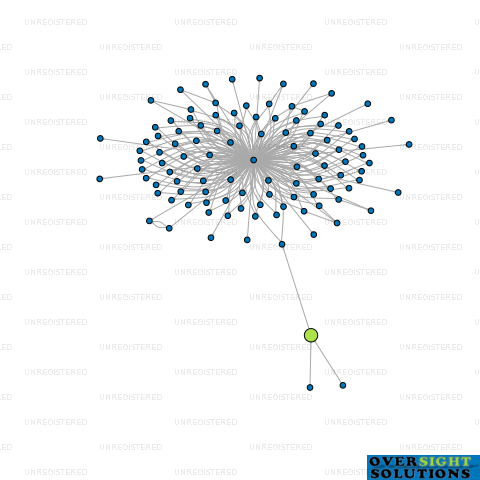 Network diagram for SOUTHLAND ASSET MANAGEMENT LTD