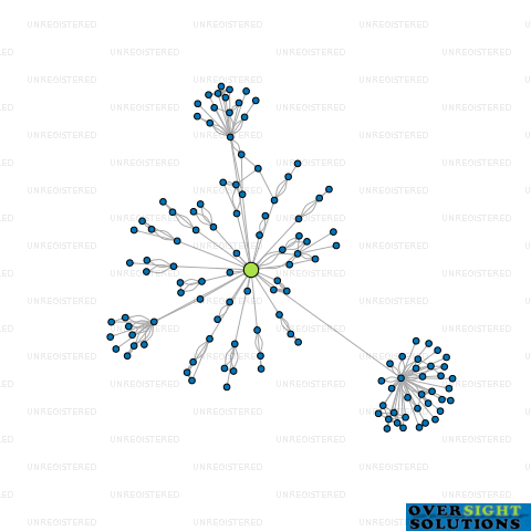 Network diagram for MONITECH LTD
