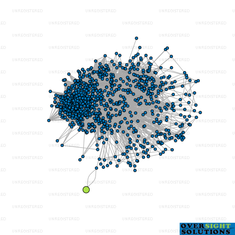 Network diagram for L S PROJECTS LTD