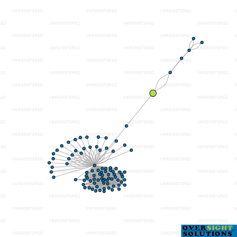 Network diagram for CHNZ LTD