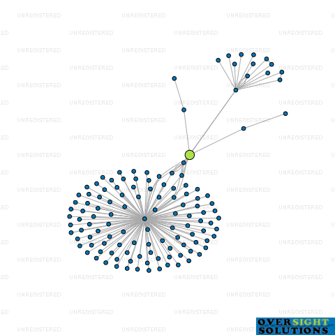 Network diagram for THE BARKERY LTD