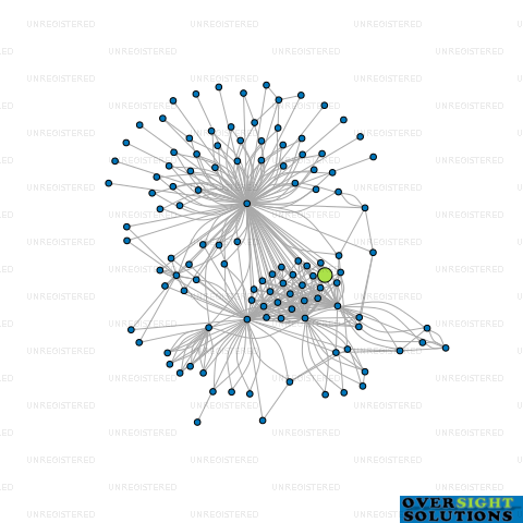 Network diagram for WILSON PARTNERS HUGHESMARTIN TRUSTEES LTD