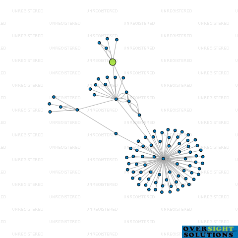 Network diagram for NEMESYS SOUTH LTD