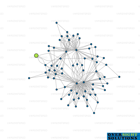 Network diagram for CHOW SOCIAL LTD