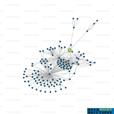 Network diagram for WILSON PARTNERS TRUSTEES LTD