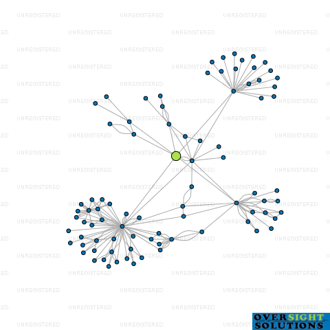 Network diagram for WINERY CONCERT HOLDINGS LTD