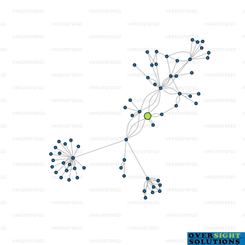 Network diagram for EVERYTHING TRAVEL GROUP NZ LTD