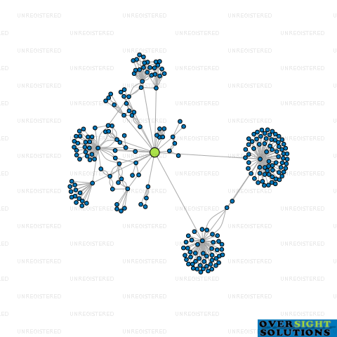 Network diagram for RVG QUEENSTOWN TRUSTEES LTD