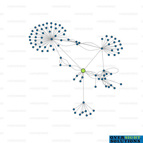 Network diagram for 291 INVESTMENTS LTD