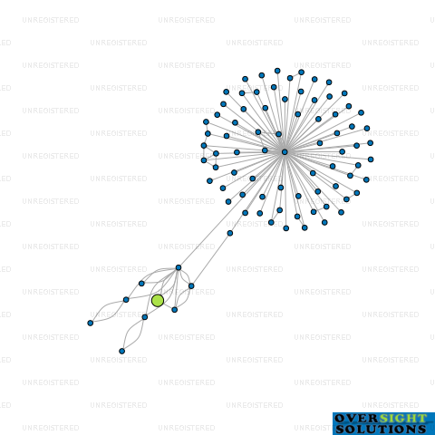 Network diagram for 21 PENWOOD CLOSE LTD