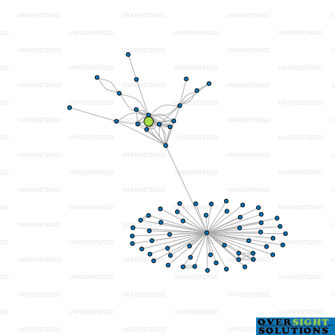 Network diagram for 786 HOLDINGS LTD