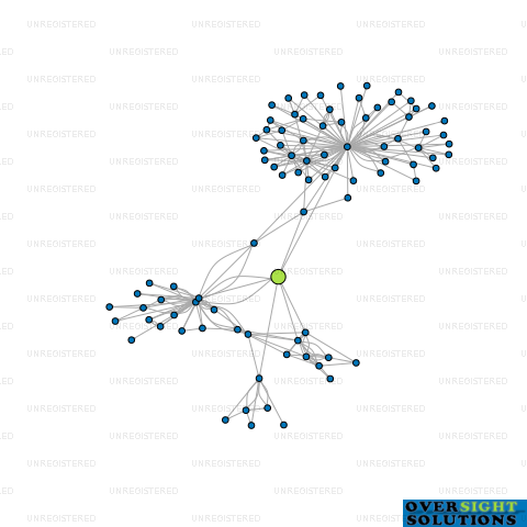 Network diagram for 202 INVESTMENT COMPANY LTD