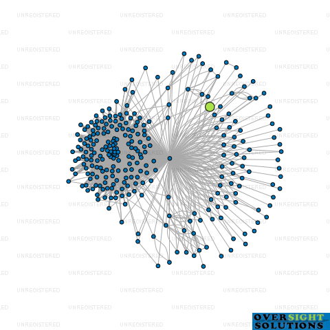 Network diagram for SH HOLDING 2021 LTD