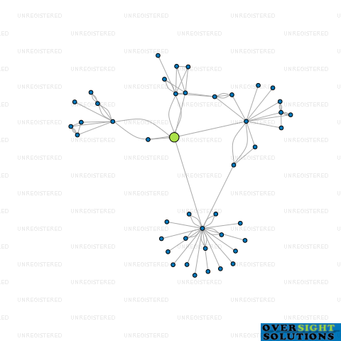 Network diagram for TRUE NORTH EQUITIES LTD