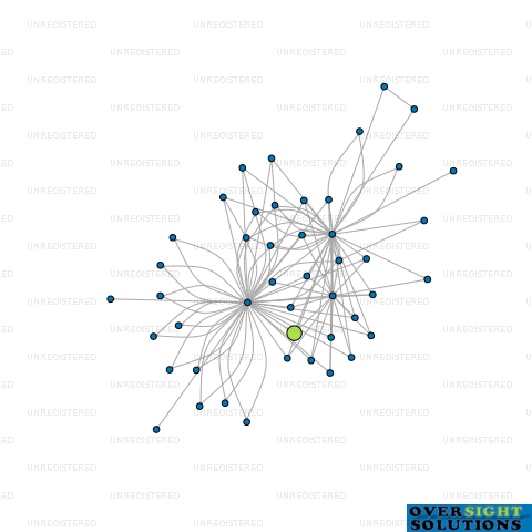 Network diagram for 110 INVESTMENT LTD